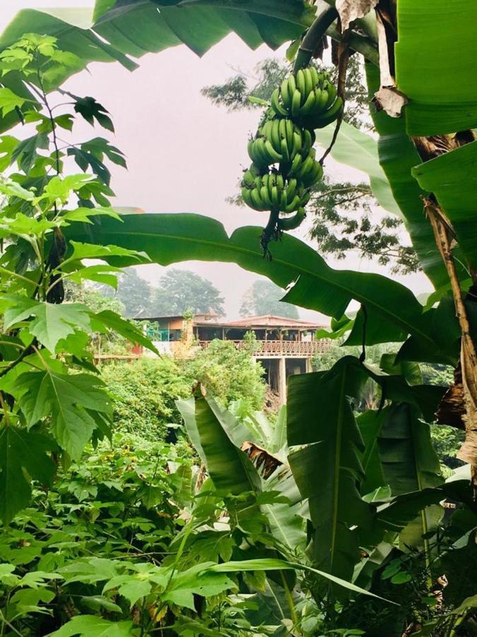 Roca Saudade Guest House Trindade エクステリア 写真